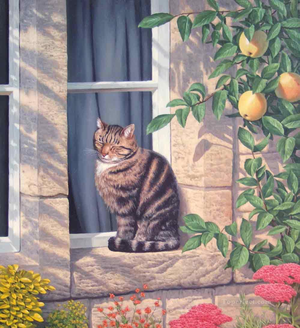 A Sunny Spot cats Oil Paintings